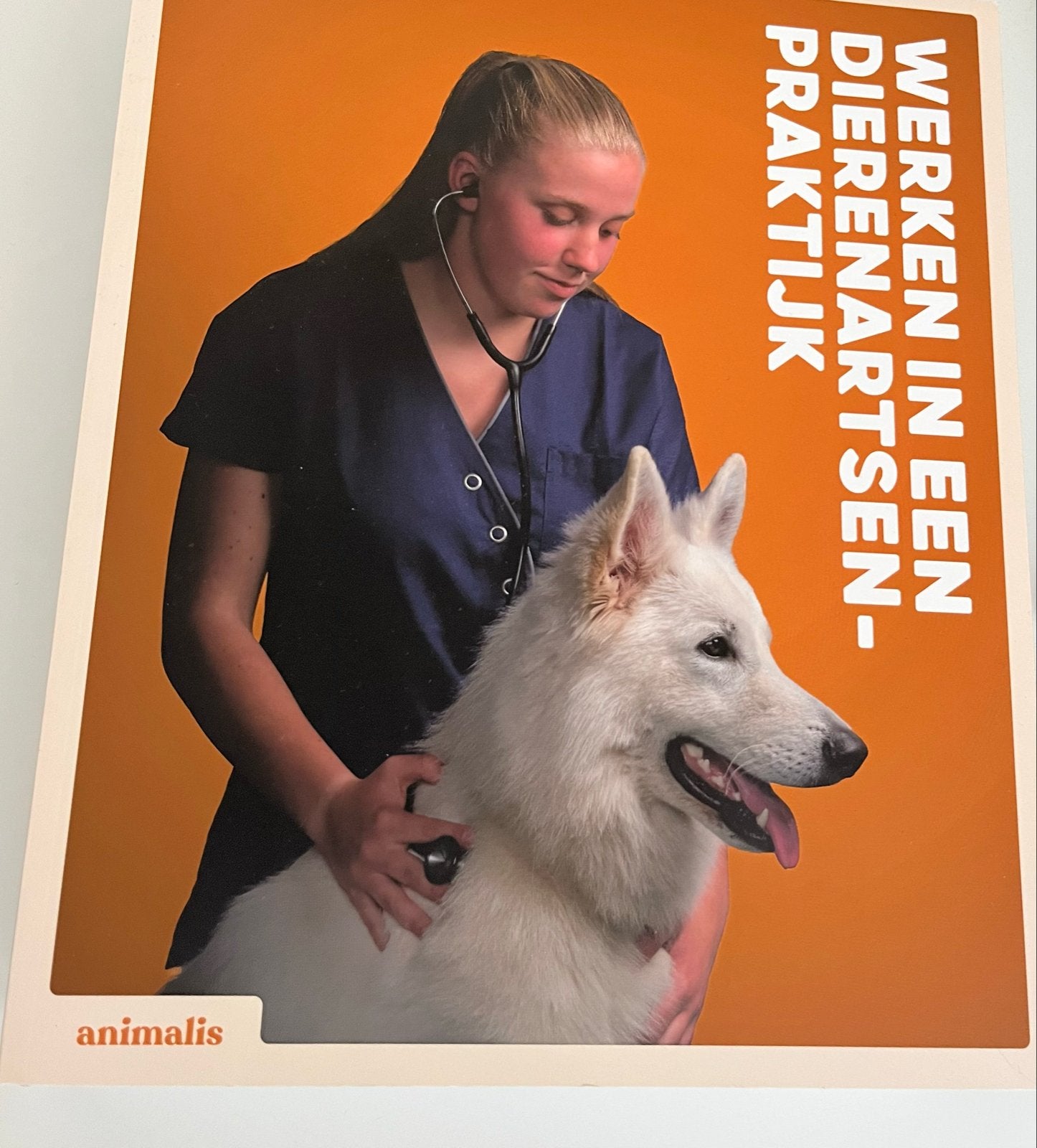 Nieuw! Werken in een Dierenartsenpraktijk - Animalis, Ophalen, Beta, Zo goed als nieuw, MBO