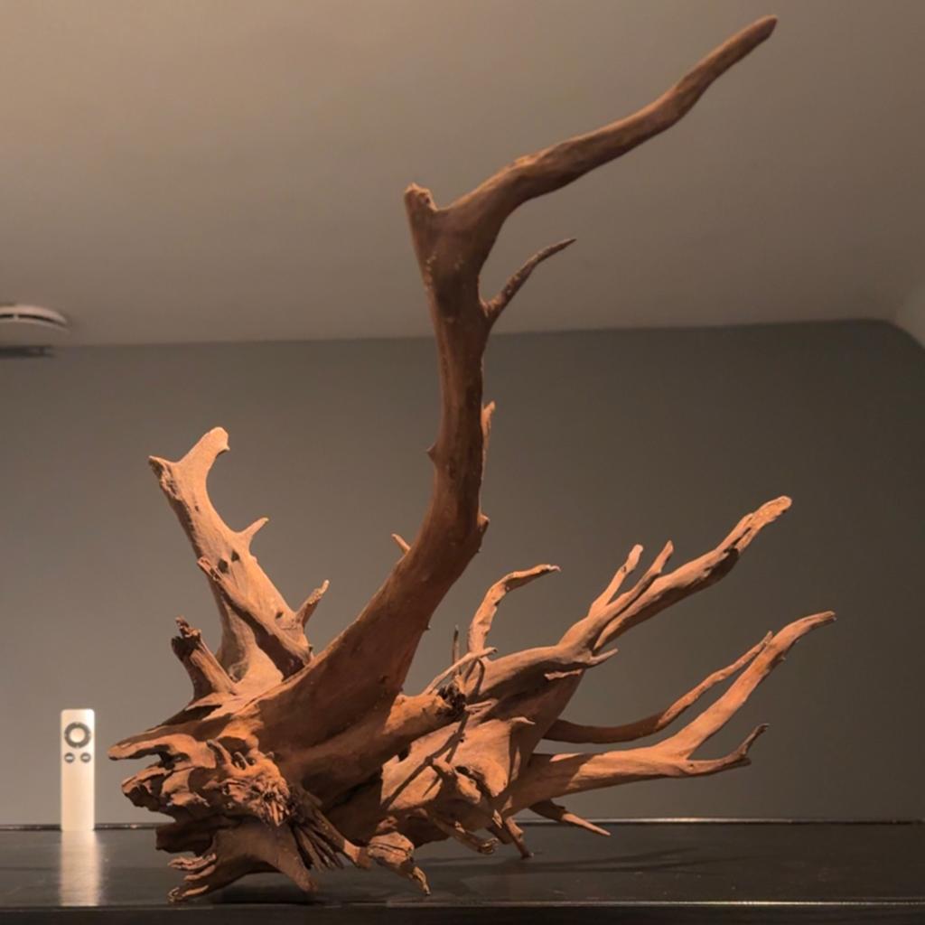 Corboroot Kienhout / Driftwood / Spiderwood, Hout Decoratie, Dieren en Toebehoren, Ophalen of Verzenden, Plant(en), Steen of Hout