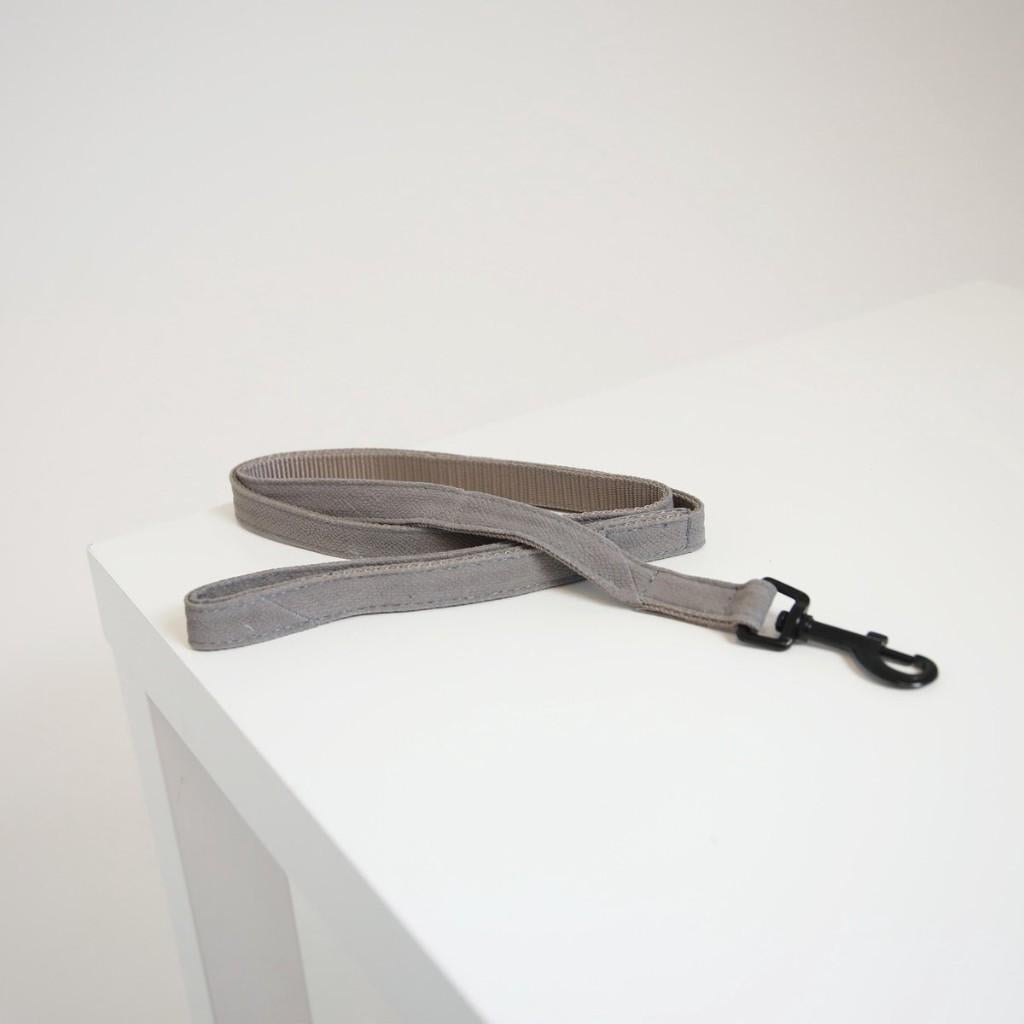 KENTUCKY Lizard Hondenlijn / Hondenriem Beige 2x120 cm -40%!, Dieren en Toebehoren, Ophalen of Verzenden, Nieuw, Hondenriem