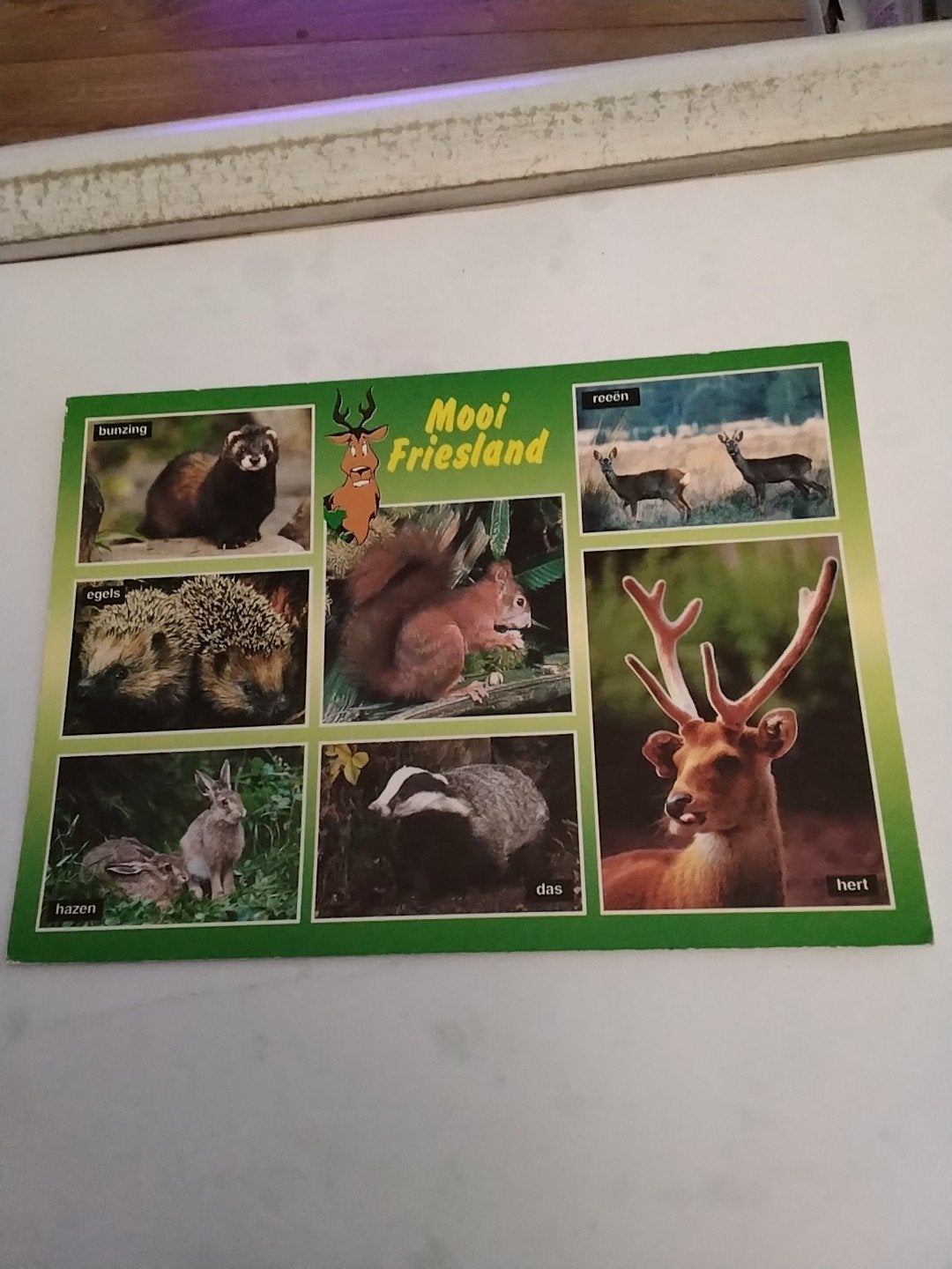 Ansichtkaart Mooi Friesland - Dieren, Ophalen of Verzenden