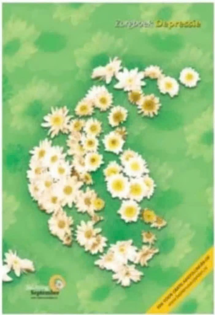 Depressie Zelfzorgboek (Stichting September), Boeken, Ophalen of Verzenden, Zo goed als nieuw