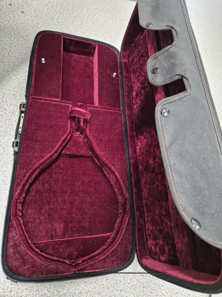 Eastman Mandoline Koffer, Ophalen of Verzenden, Gebruikt, Overige instrumenten