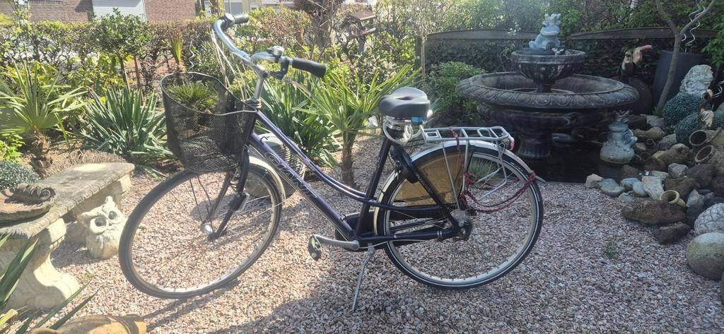 Raleigh damesfiets met mandje - Ideaal voor boodschappen!, Overige merken, Velgrem, Ophalen of Verzenden, 53 tot 56 cm