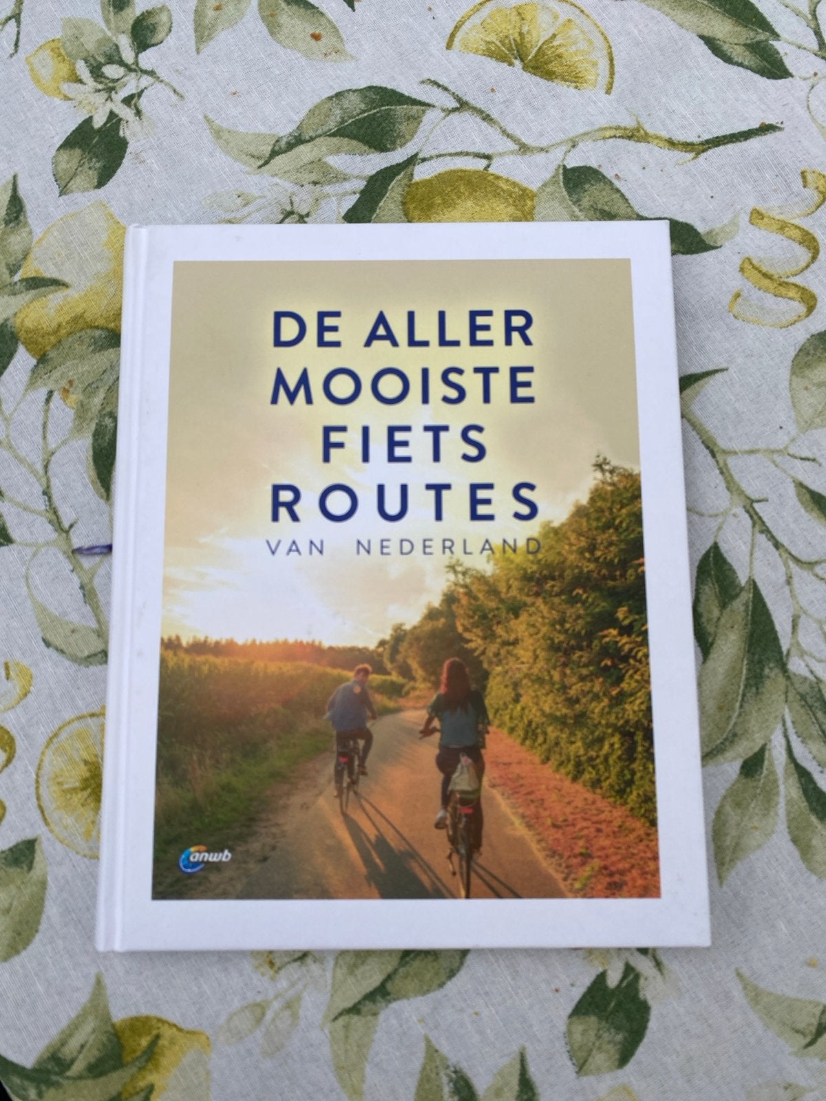 De Allermooiste Fietsroutes van Nederland - ANWB, Boeken, Fiets- of Wandelgids, Ophalen of Verzenden, Zo goed als nieuw, ANWB