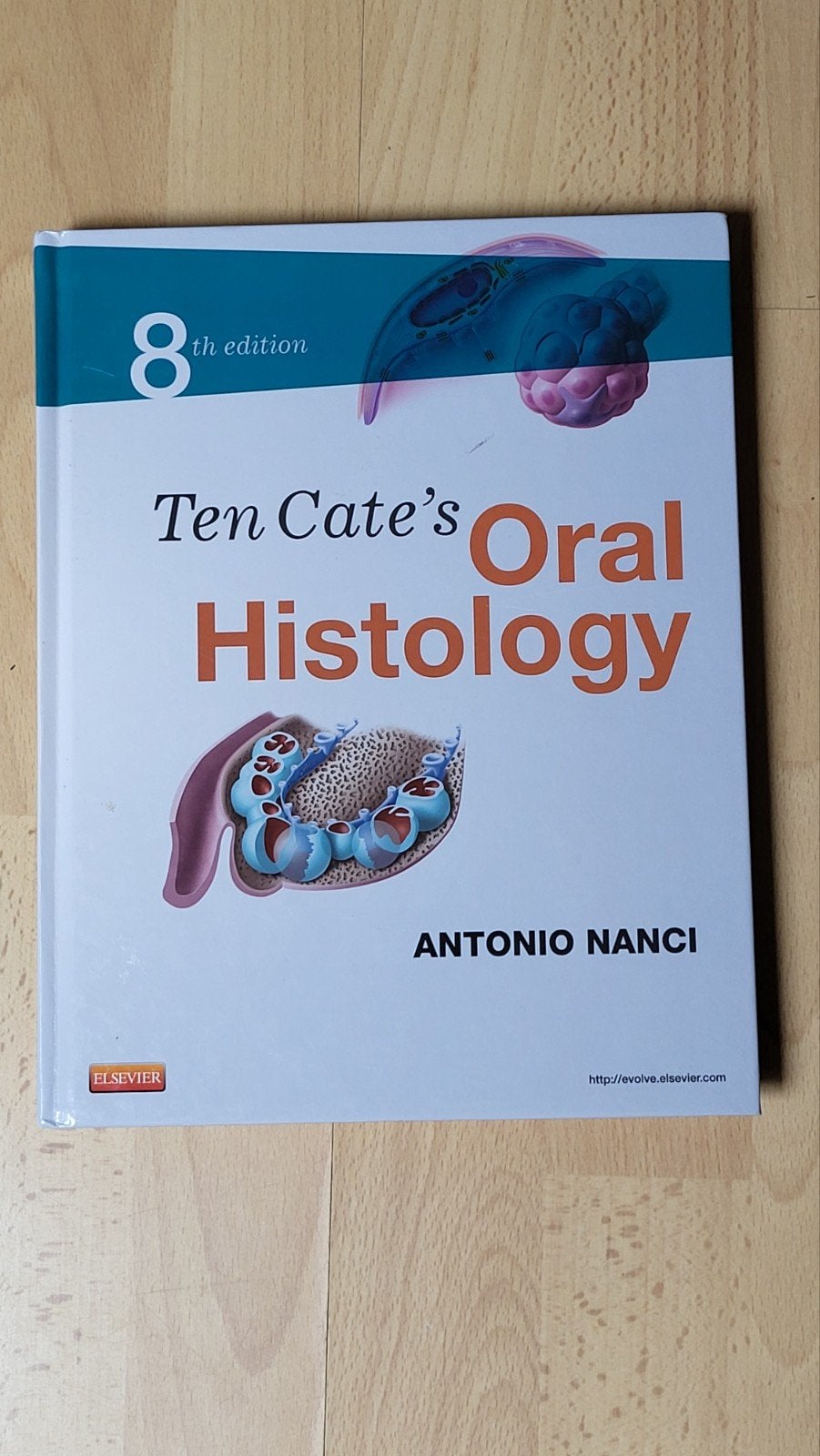 Ten Cate's Oral Histology 8e editie - Antonio Nanci, Zo goed als nieuw, HBO, Ophalen of Verzenden, Antonio Nanci