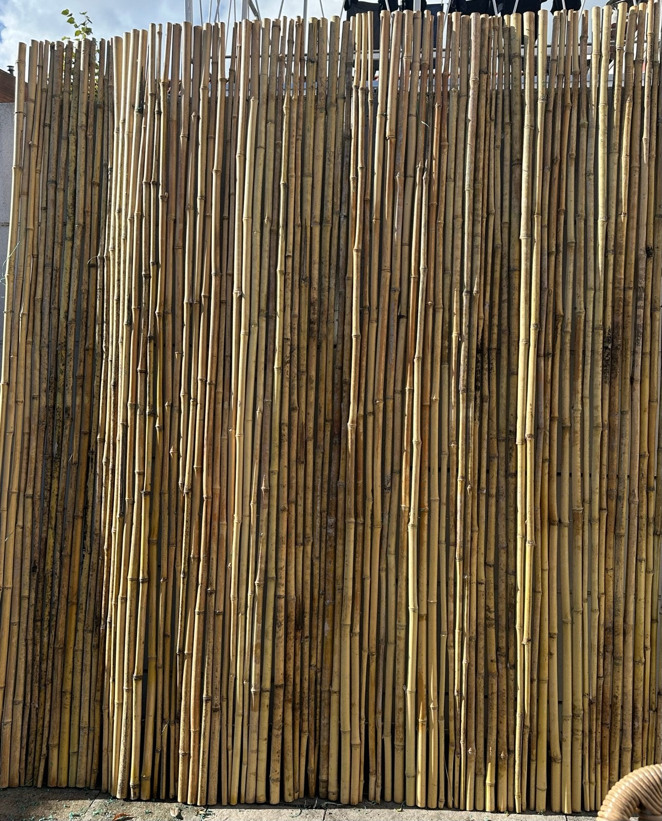 Bamboe schuttingdelen - Natuurlijke tuinafscheiding, Tuin en Terras, Ophalen, Overige materialen, Minder dan 3 meter, 1 tot 2 meter