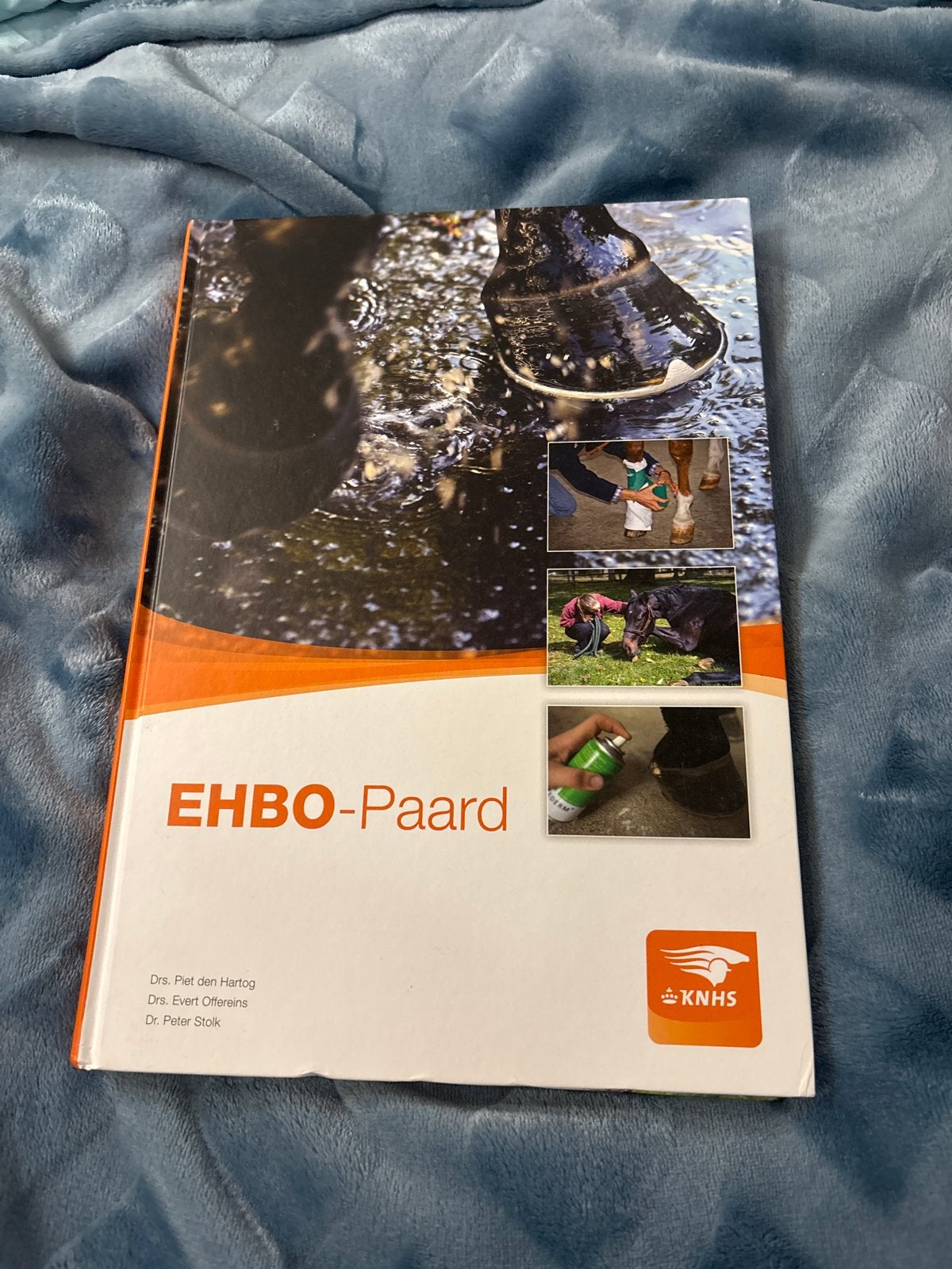 EHBO-Paard boek - Zo goed als nieuw, Boeken, Ophalen of Verzenden, Zo goed als nieuw, Overige onderwerpen
