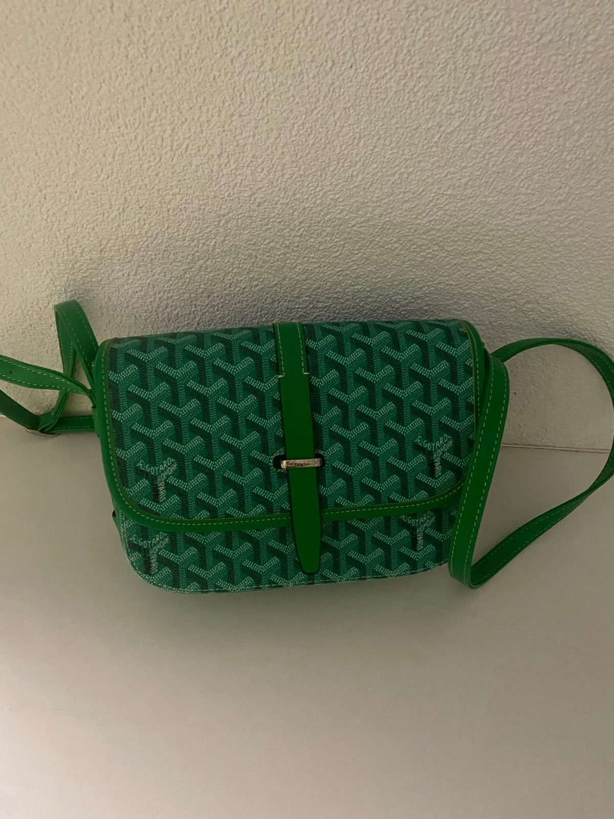 Goyard Honore Schoudertasje Groen, Ophalen of Verzenden, Nieuw, Groen, Schoudertasje