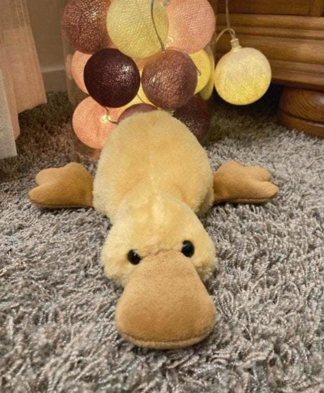 Leuke zachte knuffel - eend, Kinderen en Baby's, Speelgoed | Knuffels en Pluche, Nieuw, Ophalen of Verzenden, Middelgroot (20 tot 80 cm)