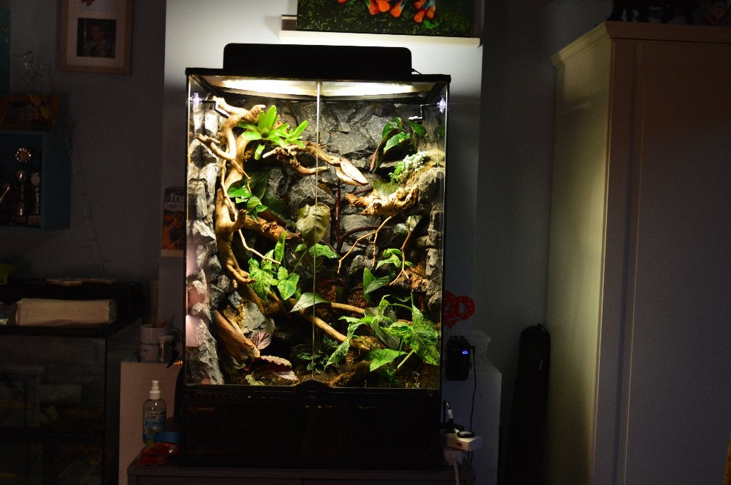 Bioactief exo terra terrarium, Ophalen, Zo goed als nieuw, Terrarium of Paludarium