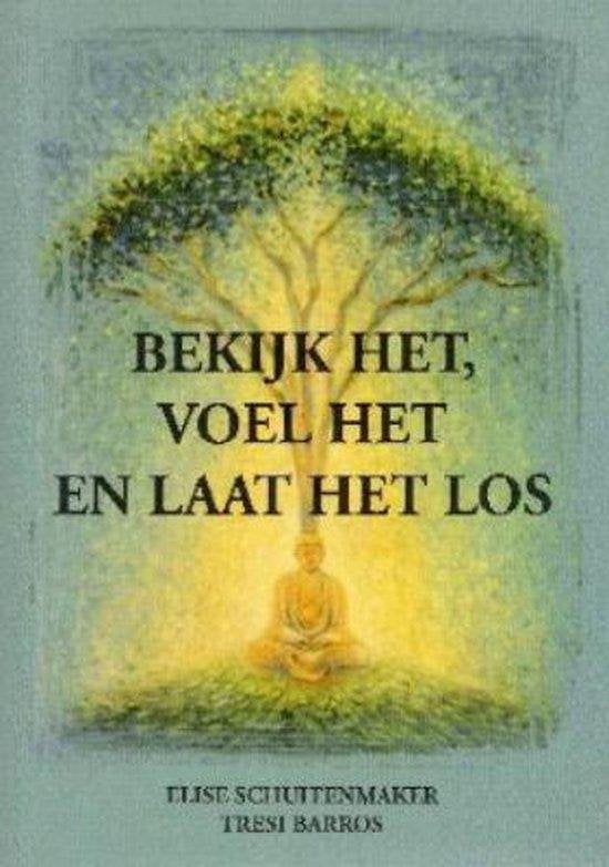 Elise Schuitenmaker Bekijk het, voel het en laat het los, Boeken, Ophalen of Verzenden, Zo goed als nieuw, Spiritualiteit algemeen