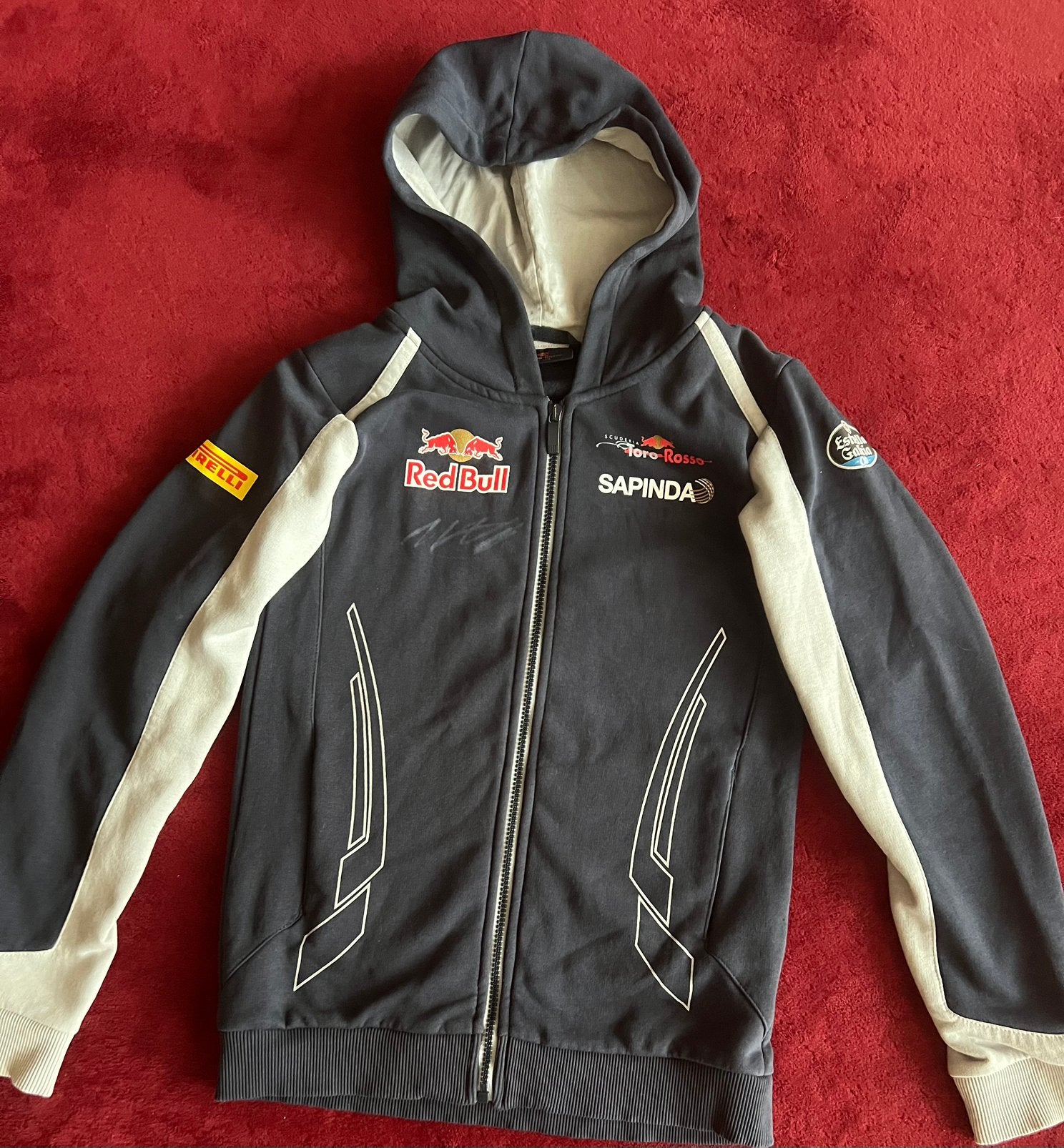 Gesigneerde hoodie MAX VERSTAPPEN 2016 Toro Rosso Red Bull, Ophalen of Verzenden, Zo goed als nieuw, Formule 1
