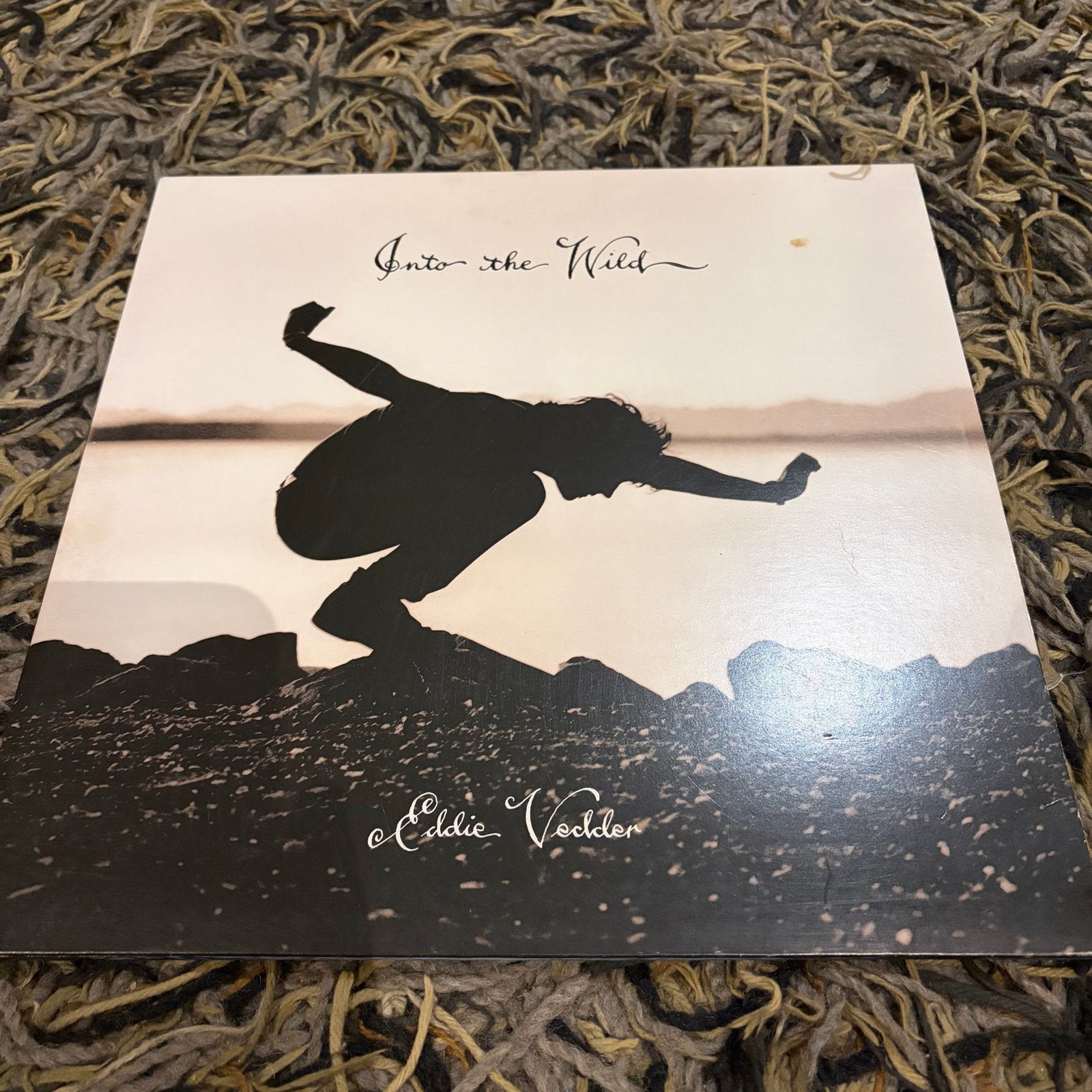 Eddie Vedder - Into the Wild (collector), Ophalen of Verzenden, Gebruikt, 12 inch, Poprock