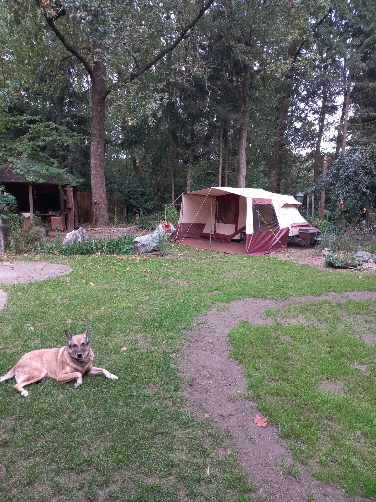 Vintage Combi-Camp vouwwagen - Een charmant oudje!, Ophalen