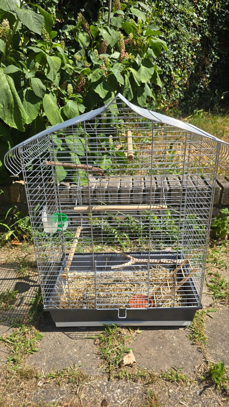 Vogelkooi, Ophalen, Zo goed als nieuw, Metaal, Vogelkooi