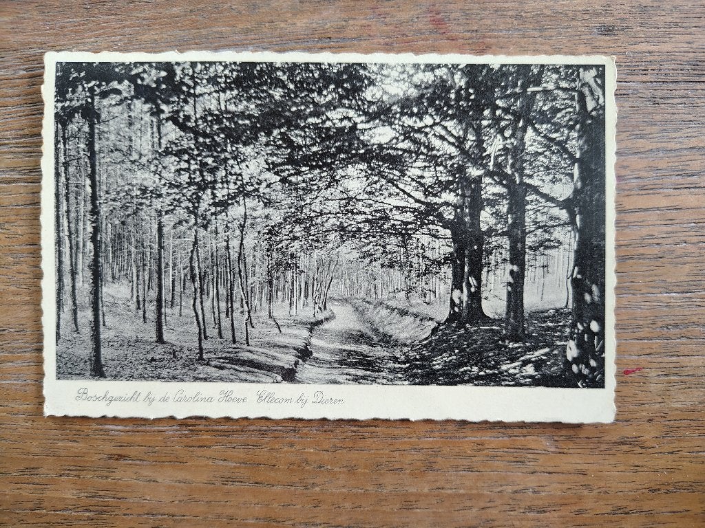 Ellecom onder de prins Willems berg, Verzamelen, Verzenden, Limburg