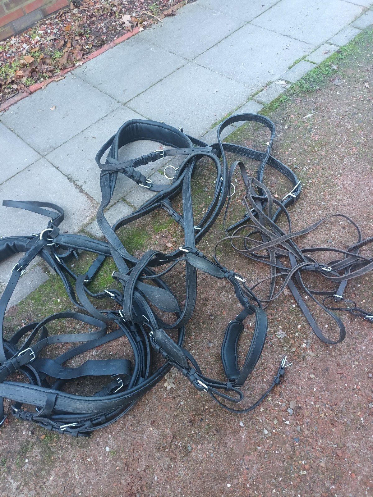 te koop, Ophalen, Full