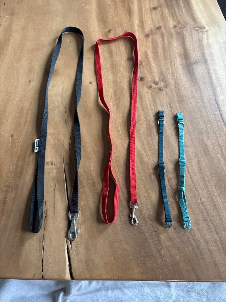 2 puppy bandjes plus bijbehorende riemen 120 cm, Dieren en Toebehoren, Ophalen of Verzenden
