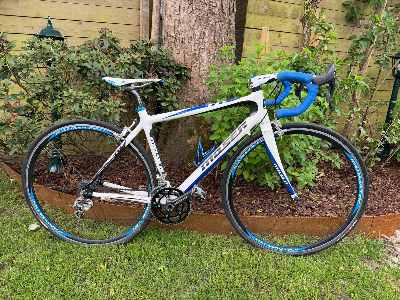 Moser Racefiets 54 cm- Carbon Fiber - Campagnolo 10 Speed, 28 inch, Gebruikt, Carbon, 10 tot 15 versnellingen