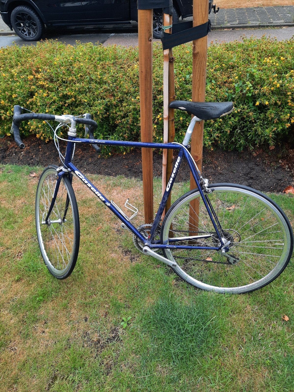 Gazelle racefiets met stalen frame. Framemaat 52., Ophalen, Gebruikt, 10 tot 15 versnellingen, 49 tot 53 cm