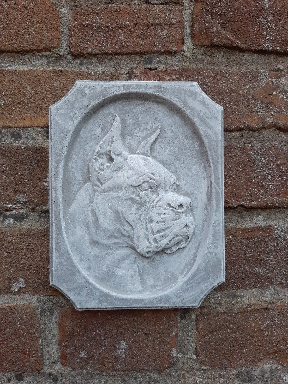 Boxer hond wanddecoratie betonnen beeld tuinbeeld beton, Tuin en Terras, Tuinbeelden, Ophalen of Verzenden, Overige materialen