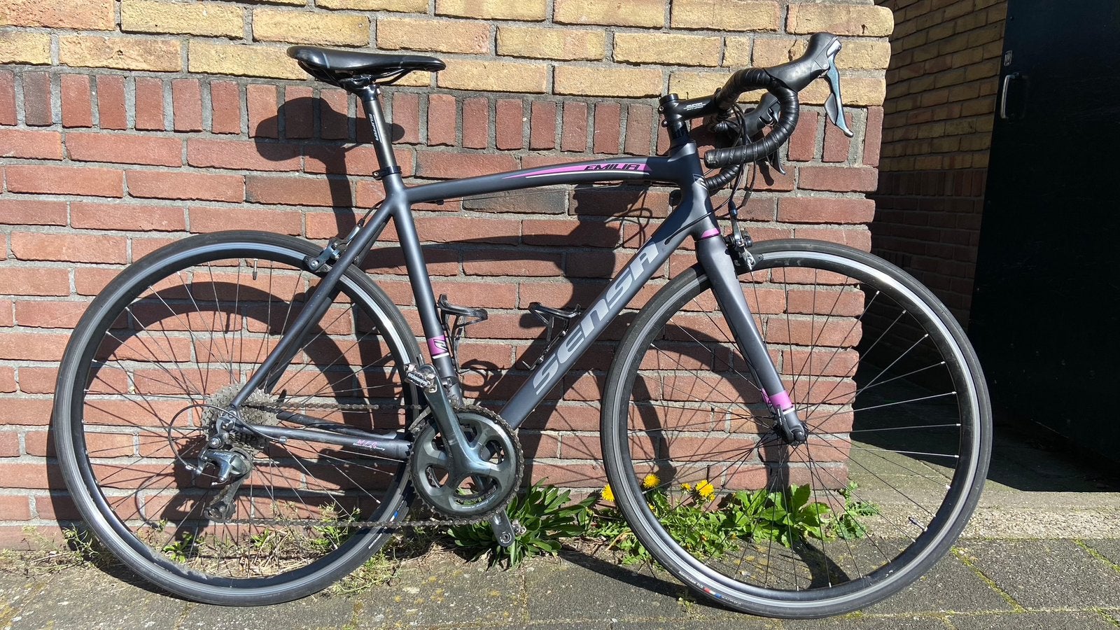 Sensa Emilia Dames Racefiets, 28 inch, Gebruikt, Velgrem, Aluminium