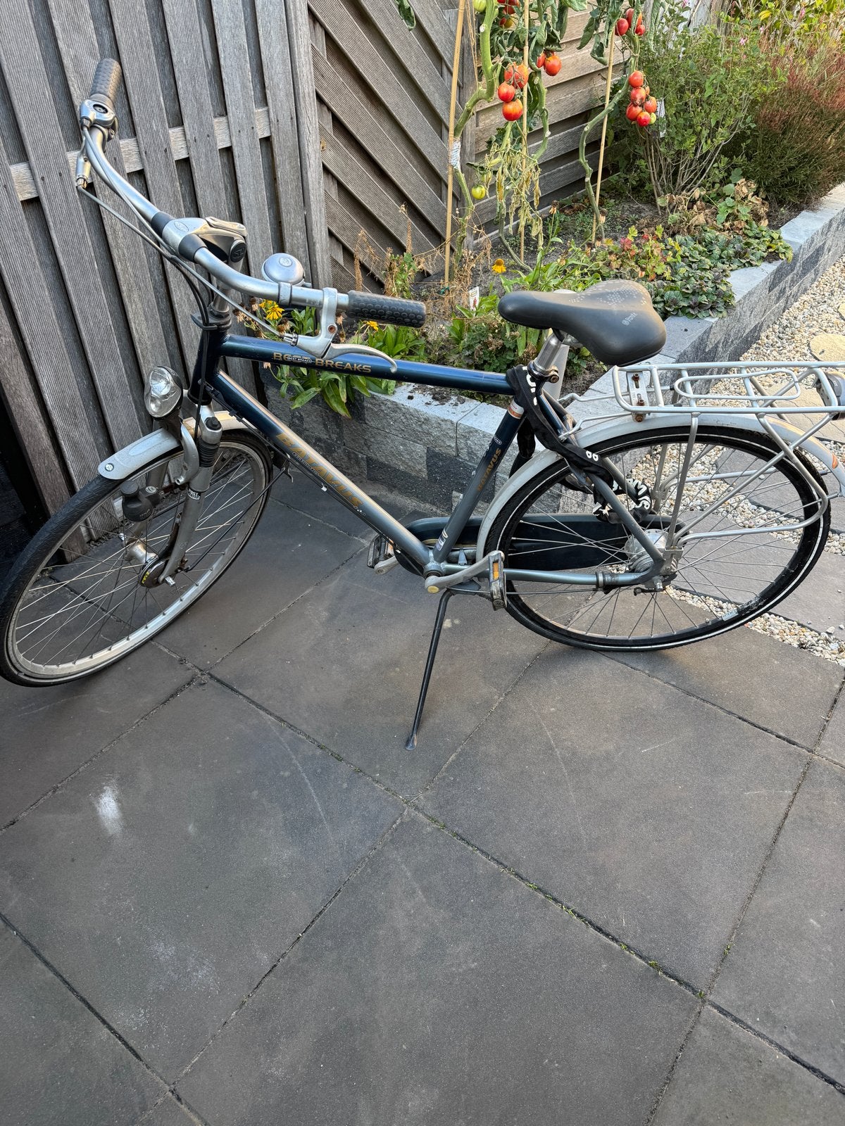 Batavus Race Breaks Herenfiets - Gebruikt, Ophalen, Gebruikt, Batavus, Versnellingen