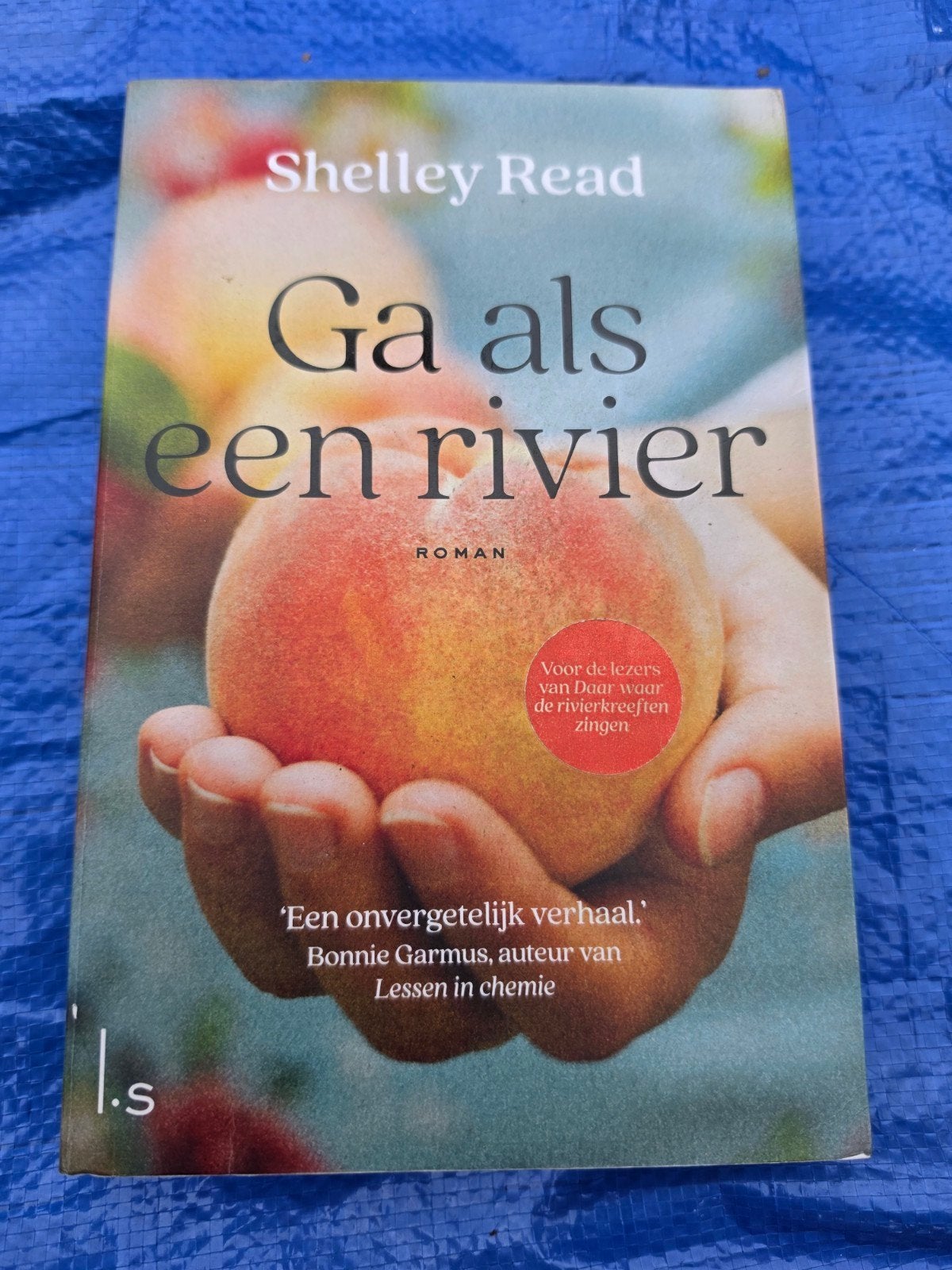 Shelley Read - Ga als een rivier, Ophalen of Verzenden, Zo goed als nieuw, Shelley Read