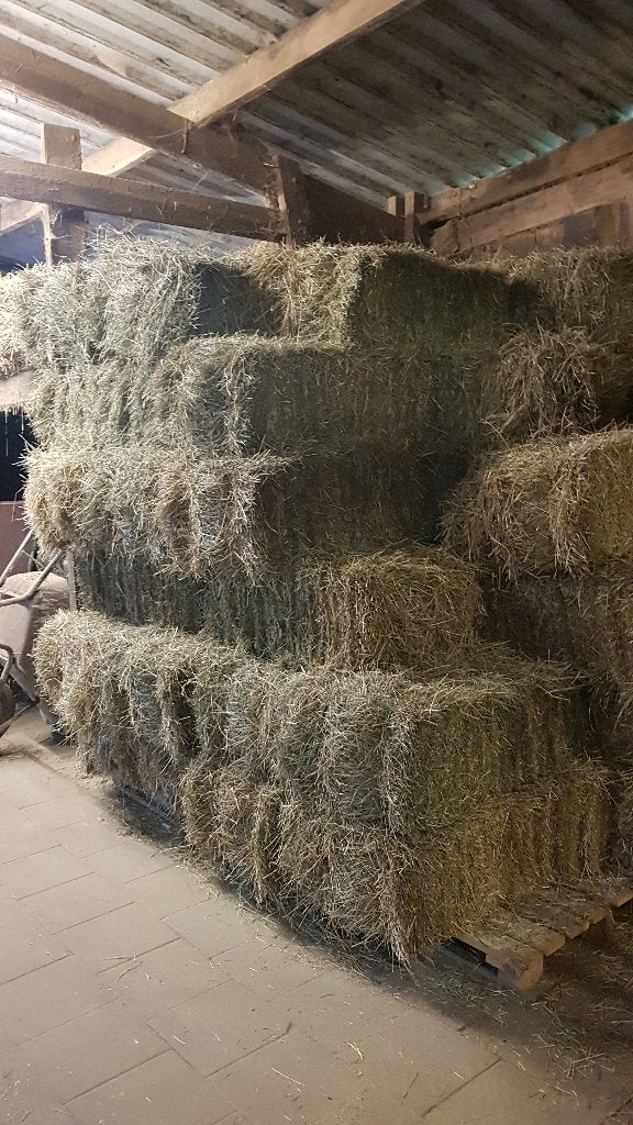Hooi te koop 1e snede 2026, Dieren en Toebehoren, Ophalen, Vee