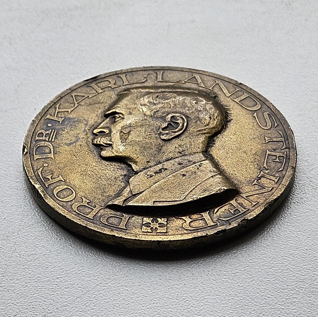 Bronzen penning bloedtransfusiedienst Ned.Rode Kruis 1939, Ophalen of Verzenden, Brons, Nederland