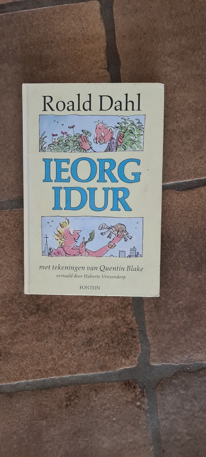Roald Dahl - IEORG IDUR, Boeken, Kinderboeken | Jeugd | onder 10 jaar, Ophalen of Verzenden, Fictie algemeen