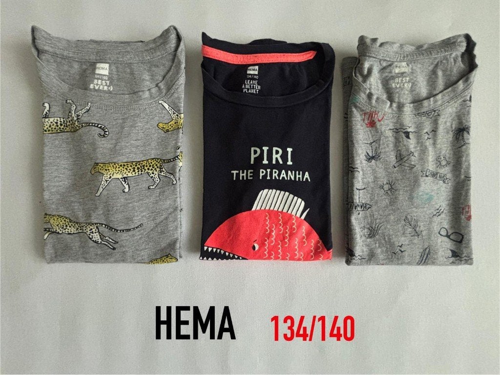 3 Stuk: Hema shirts – maat: 134/140 alle drie leuke print, Gebruikt, Ophalen of Verzenden, Shirt of Longsleeve, Hema