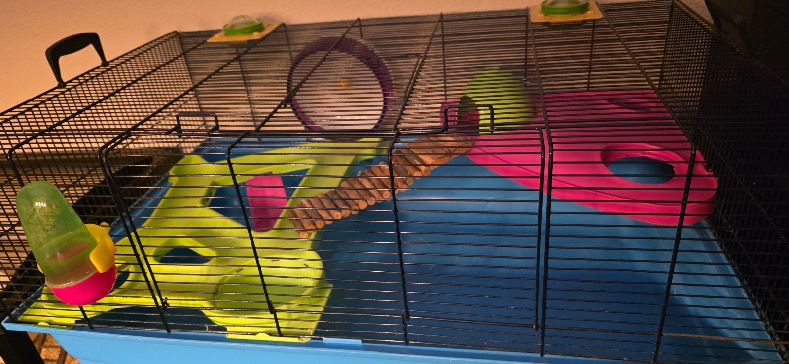 GRATIS mooie hamsterkooi (knaagdieren), Ophalen of Verzenden