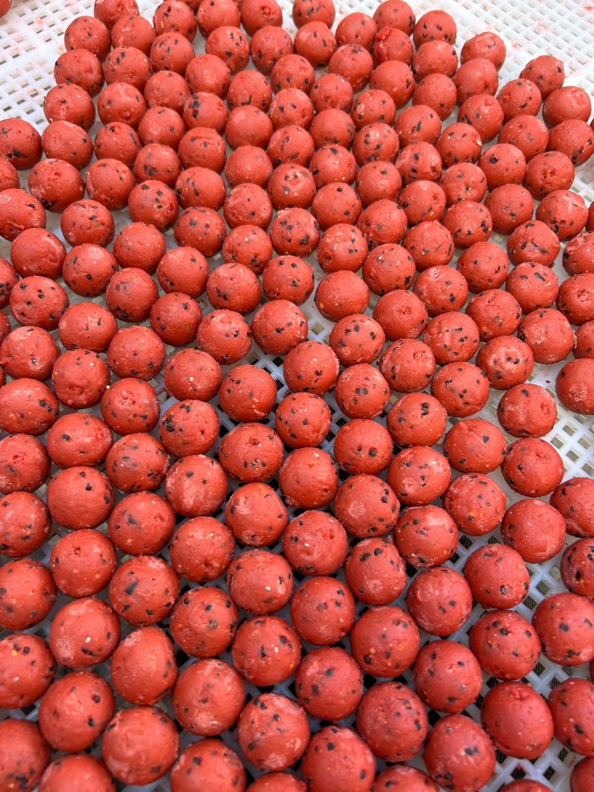 Mulberry royale, Ophalen of Verzenden, Nieuw, Overige typen