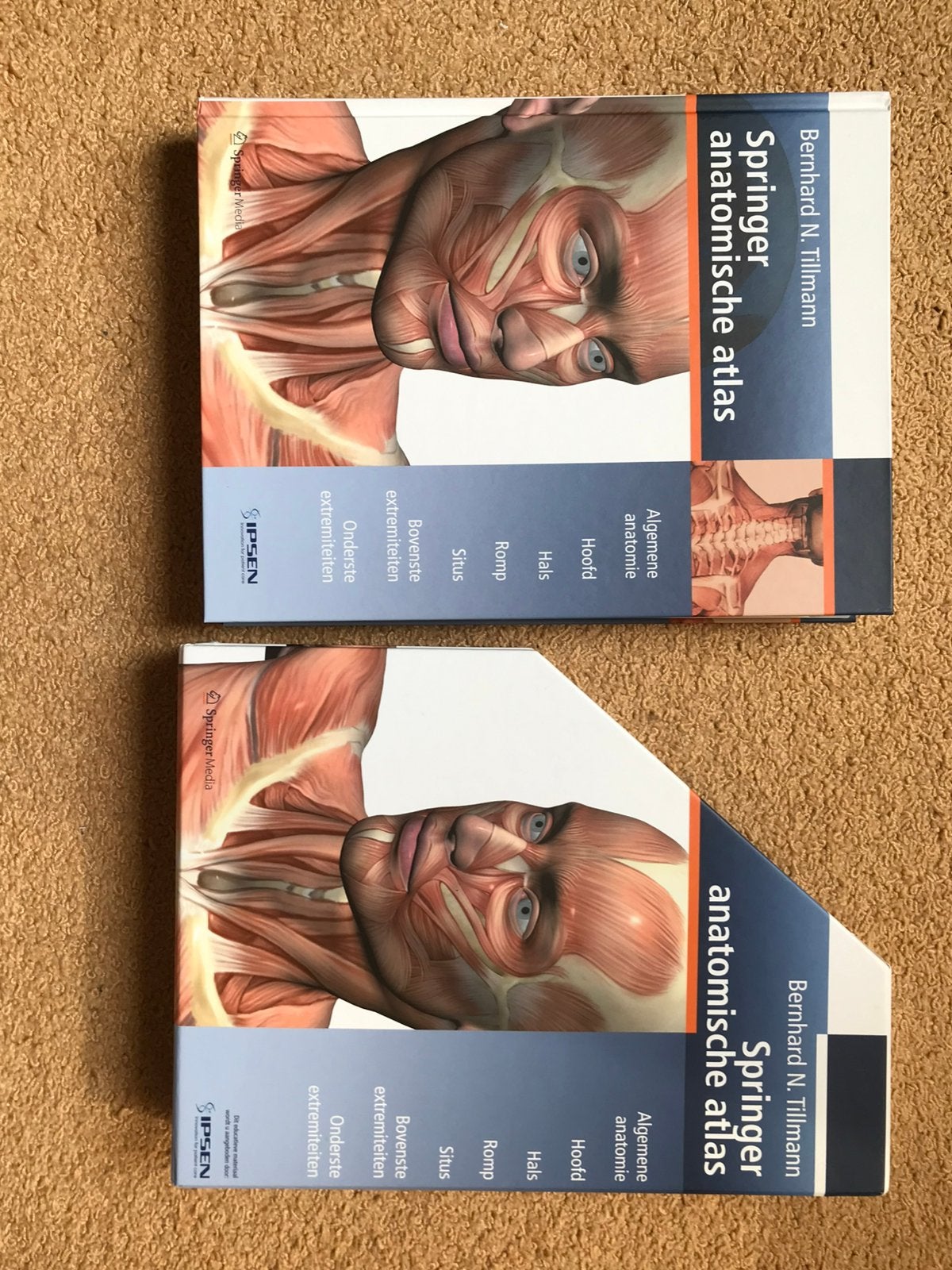 Springer anatomische atlas Bernhard N. Tillmann hardcover, Ophalen, Zo goed als nieuw, Overige niveaus, Overige vakken
