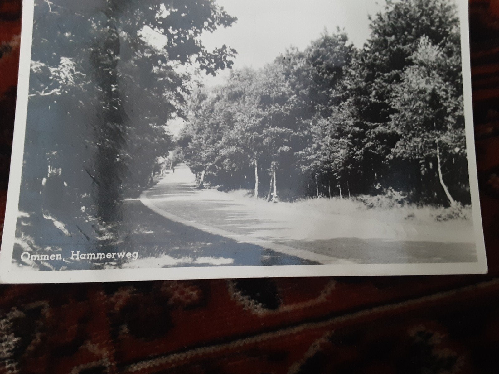 Ommen,  Hammerweg, Ophalen of Verzenden, 1940 tot 1960, Overijssel