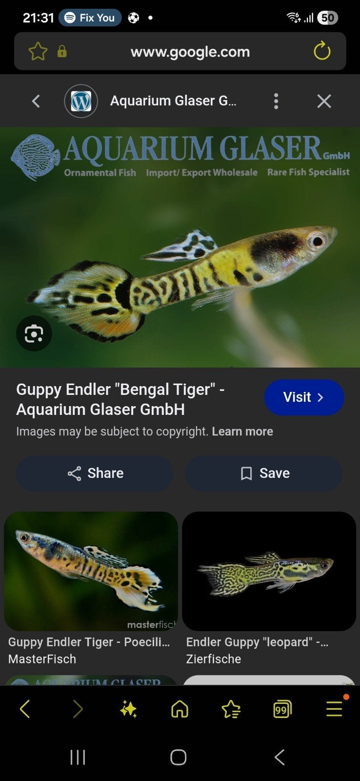 Guppen/guppies, Vis