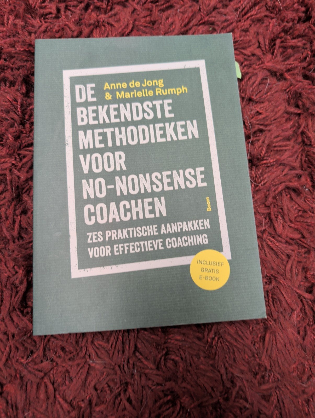 De Bekendste Methodieken voor No-Nonsense Coachen, Ophalen of Verzenden, Gelezen, Anne de Jong & Marielle Rumph
