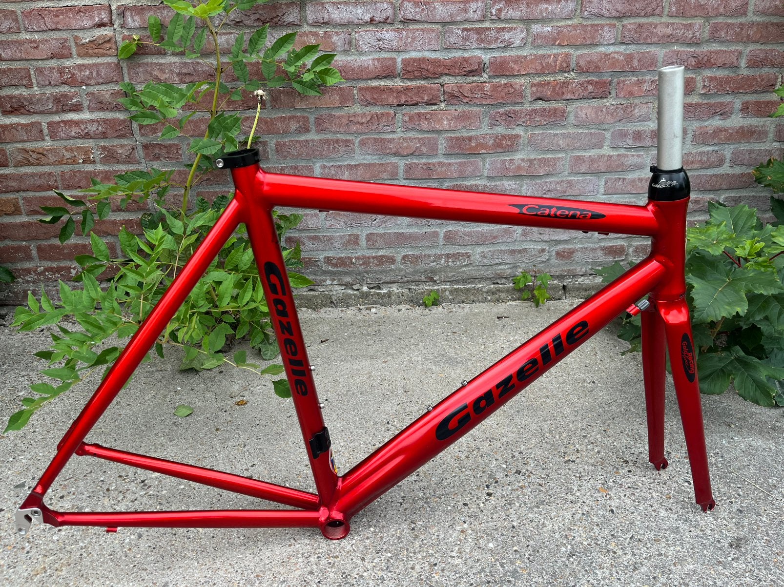 Gazelle Catena frame + vork Mt 56cm HT nieuw, Ophalen, 28 inch, Meer dan 20 versnellingen, Gazelle