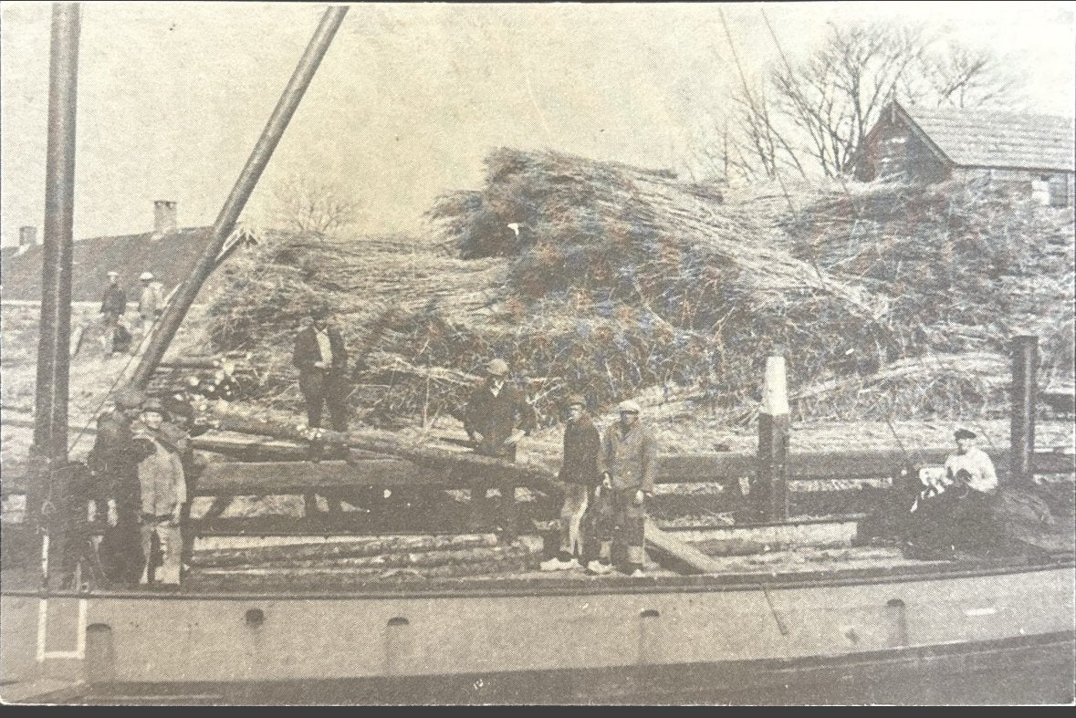Lekkerkerk, boot met riet, Verzamelen, Ansichtkaarten | Nederland, Verzenden, Voor 1920, Ongelopen, Zuid-Holland