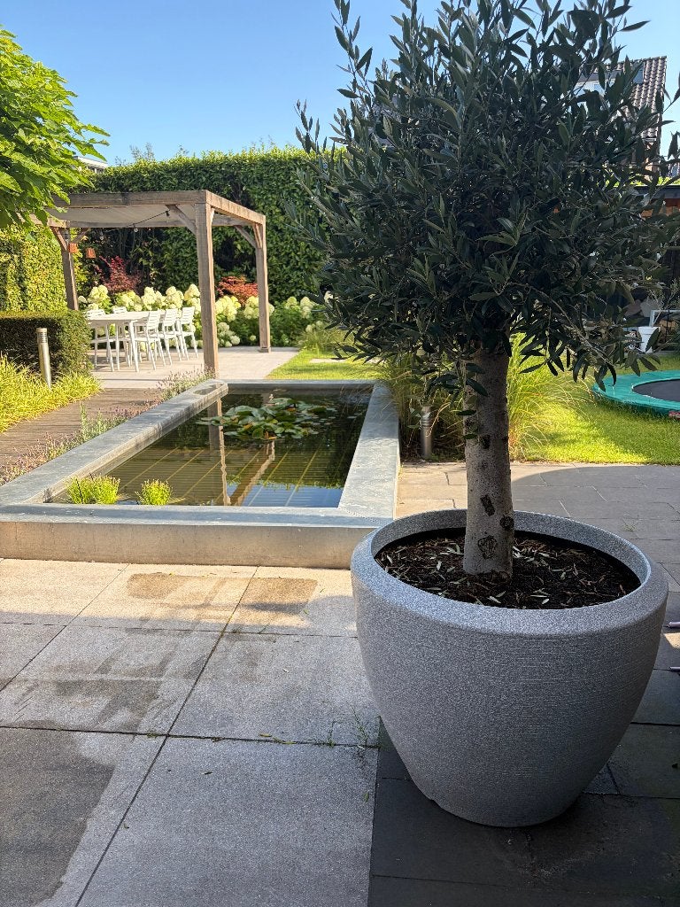 Ivoren bloempotten zie deal beschrijving, Tuin en Terras, Bloempotten, Ophalen, Kunststof, 40 cm of meer, Rond
