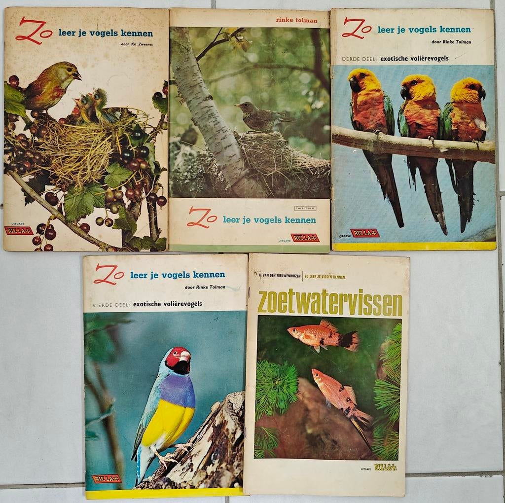 Rizla Plaatjesalbums: Zo leer je vogels kennen & Zoetwatervi, Ophalen of Verzenden, Gelezen, Rinke Tolman, A. van den Nieuwenhuizen