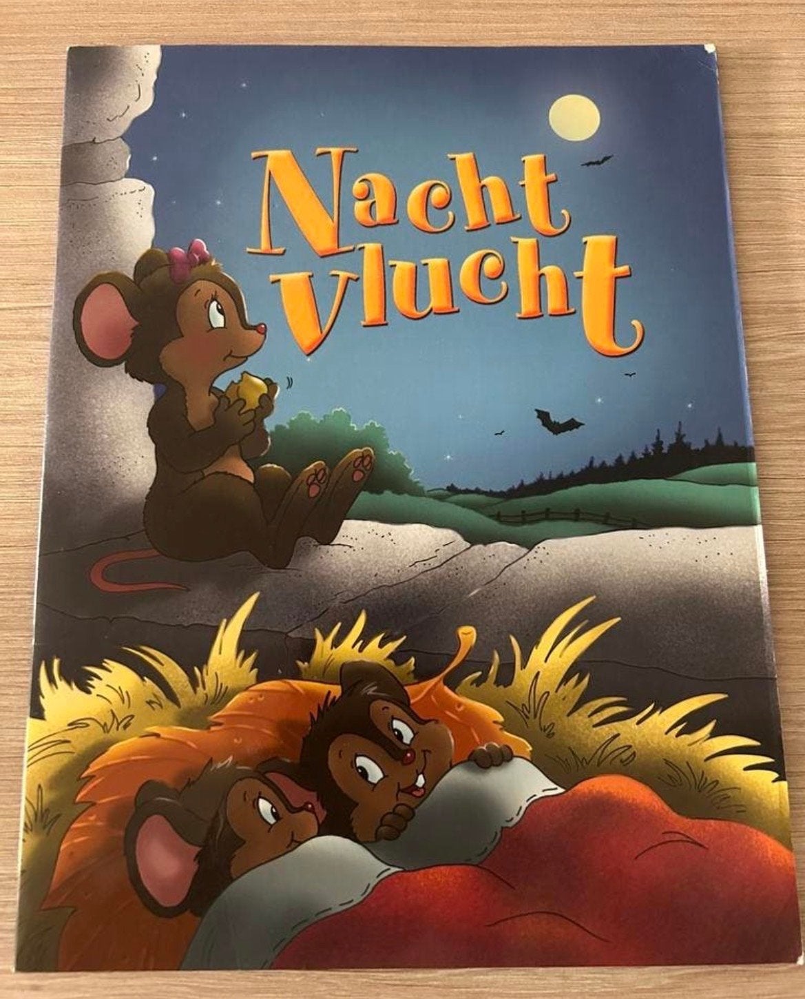 Nachtvlucht - Kinderboek over muizen en vliegen, Boeken, Ophalen of Verzenden, Gelezen, Fictie algemeen
