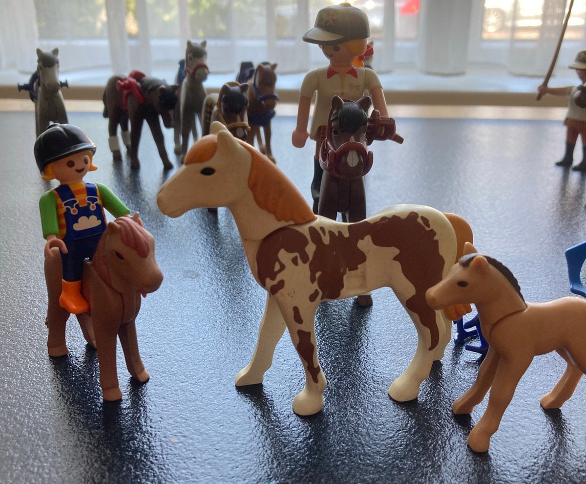 Playmobil paarden poppetjes manege samen 18 stuks, Kinderen en Baby's, Speelgoed | Playmobil, Ophalen of Verzenden, Zo goed als nieuw