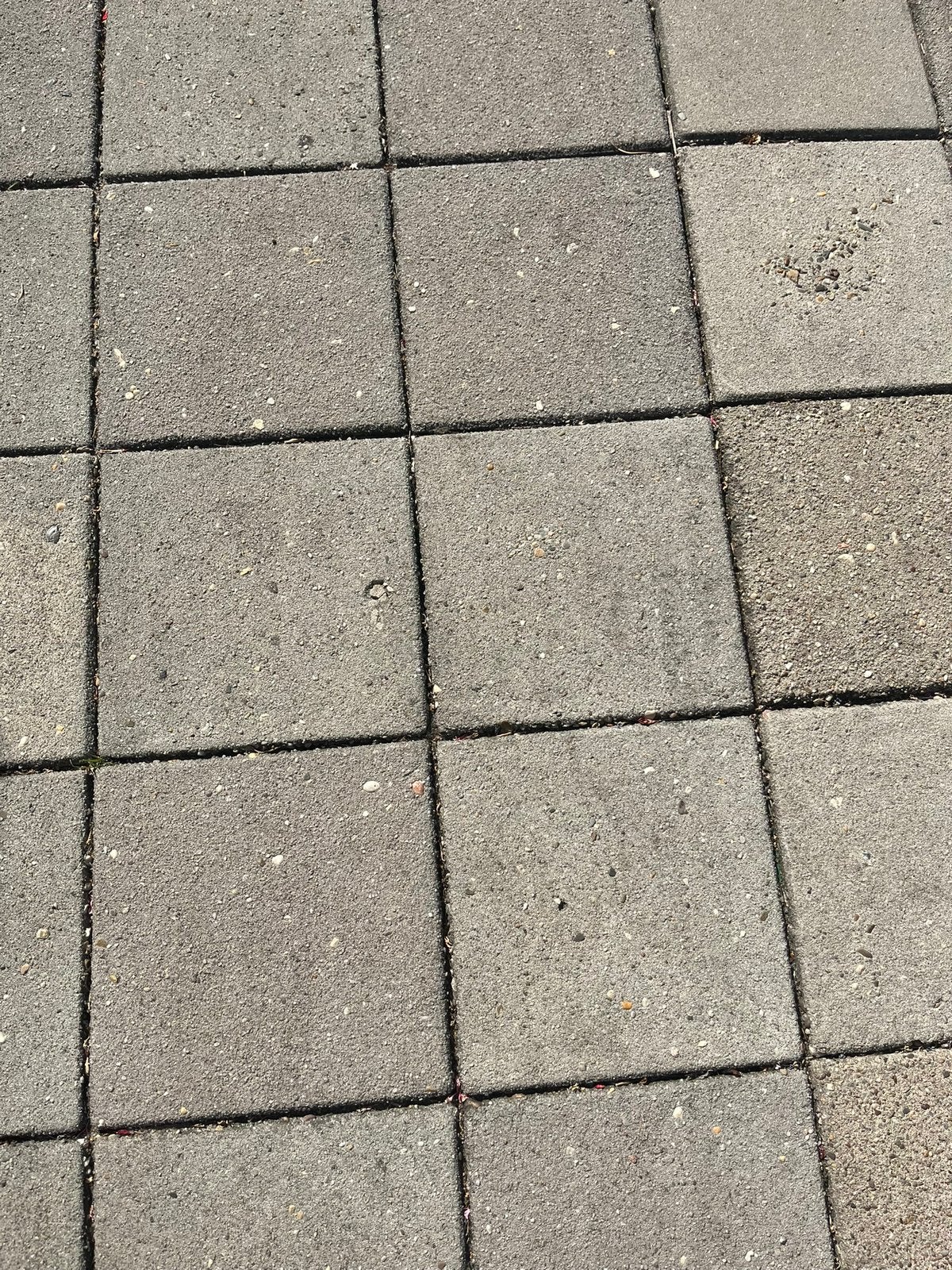 Gezocht: stoeptegels, Tuin en Terras, Tegels en Klinkers, Ophalen, Zo goed als nieuw, Beton, Terrastegels
