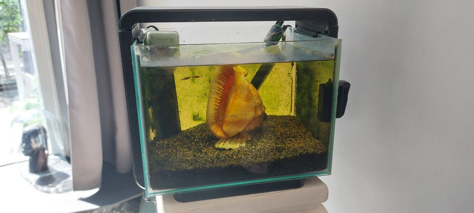 Superfish 15 liter, Ophalen of Verzenden