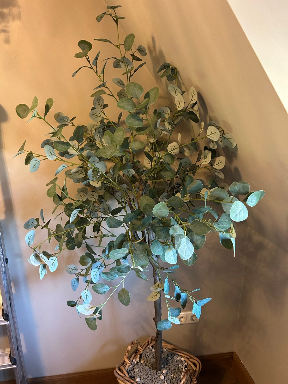 Grote kunstplant eucalyptus (zonder mand!!), Binnen, Groen, Kunstplant, Ophalen of Verzenden