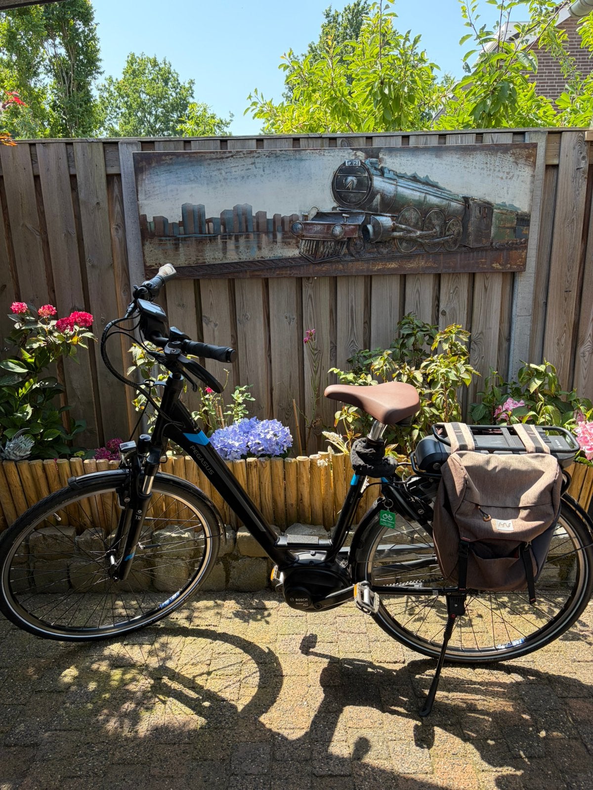 Pegasus Ravenna E8f  Belt, Zo goed als nieuw, 51 tot 55 cm, 50 km per accu of meer, Ophalen