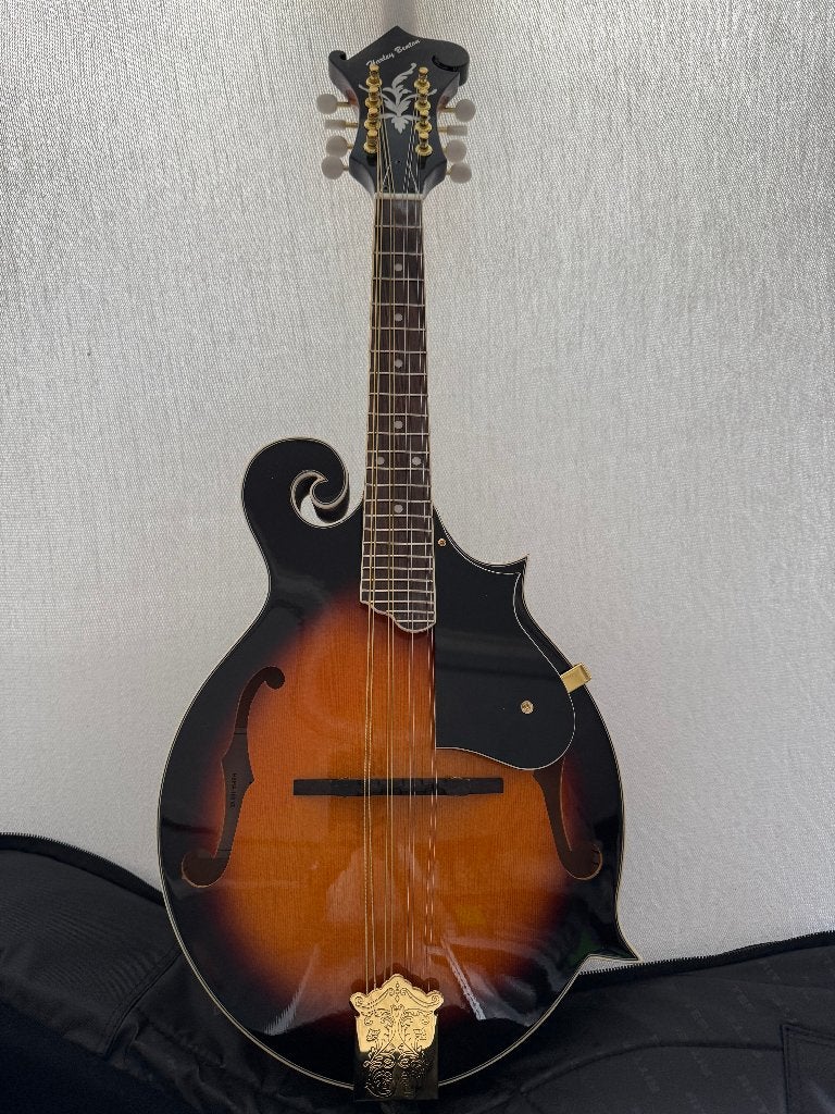 Mandoline Harley Benton, Muziek en Instrumenten, Ophalen, Zo goed als nieuw