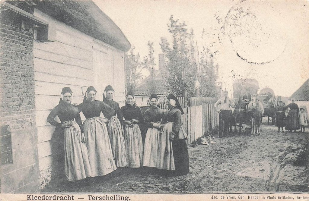 703-317-021 Kleederdracht Terschelling, Ophalen of Verzenden, Voor 1920, Friesland